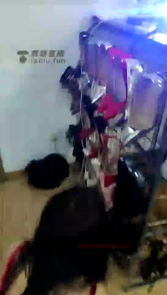 青岛燃主 调两个狗奴 女奴太骚了 