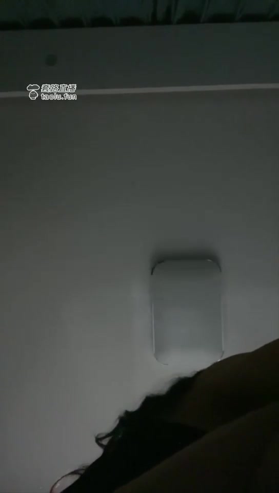 白兰度 失败的调教 失败的狗 