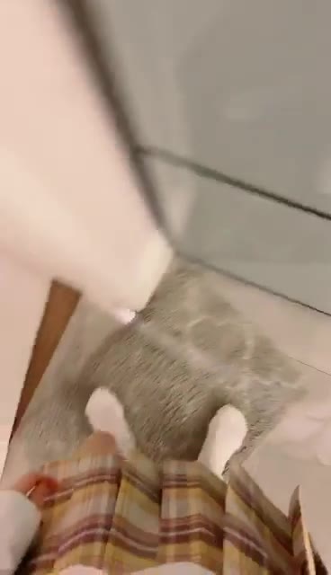 戴戴 吃个午饭 剩下的都是贱狗吃  