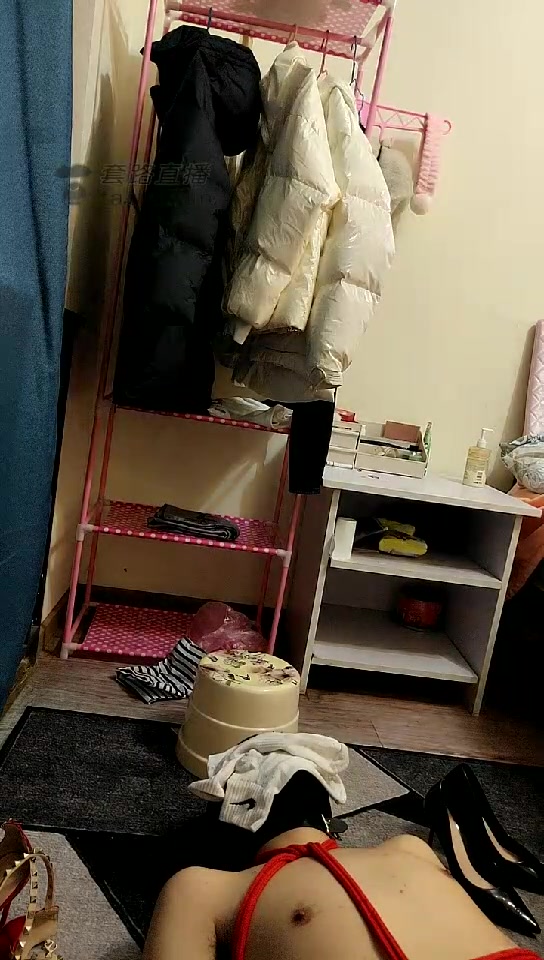 安琪 高清版 强制鞋架 嗅觉训练  