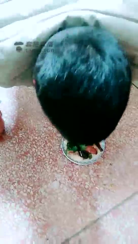 微微女王 在户外餐厅里调教贱狗 
