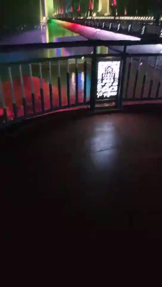 Helen团团 你拍车子我拍你 遛狗