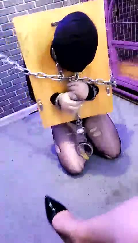 东营天香百合 锁链生活下的奴隶