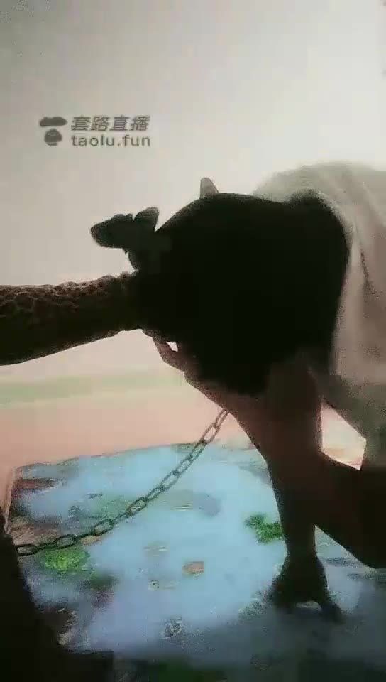 红丽 舔鞋 深喉