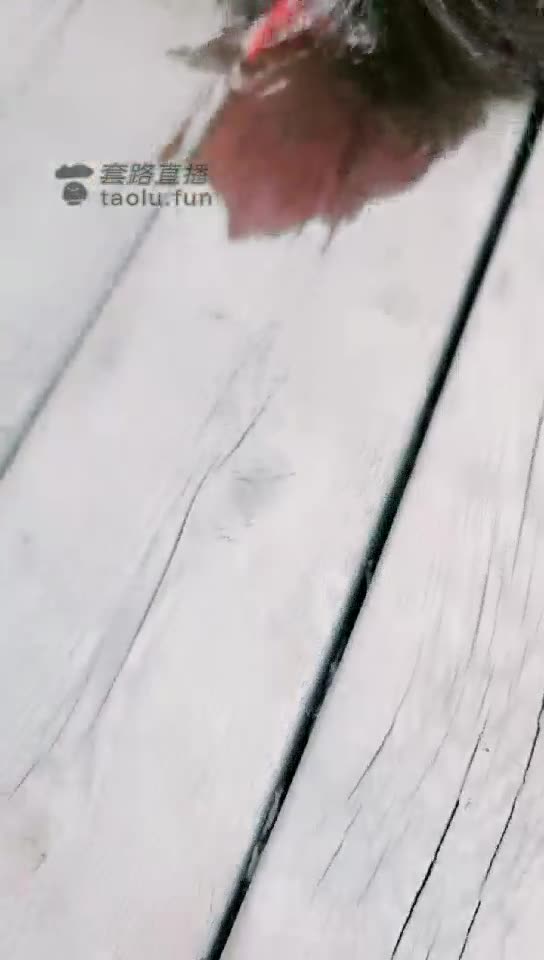 梦幻 户外温泉酒店羞辱母狗