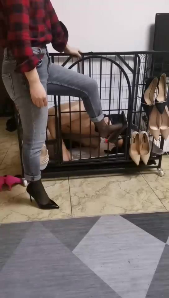 莲霸霸 狗笼里帮双主除臭