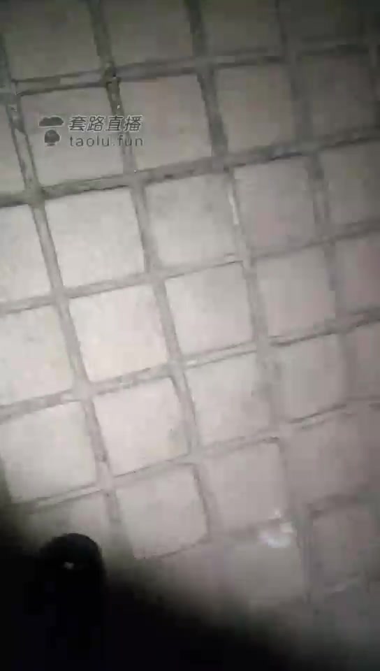 冷色 户外遛狗 舔脚