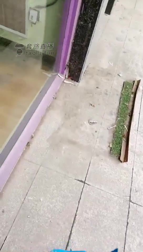 忽悠哥 户外开发多位素人小姐姐买袜子 真刺激