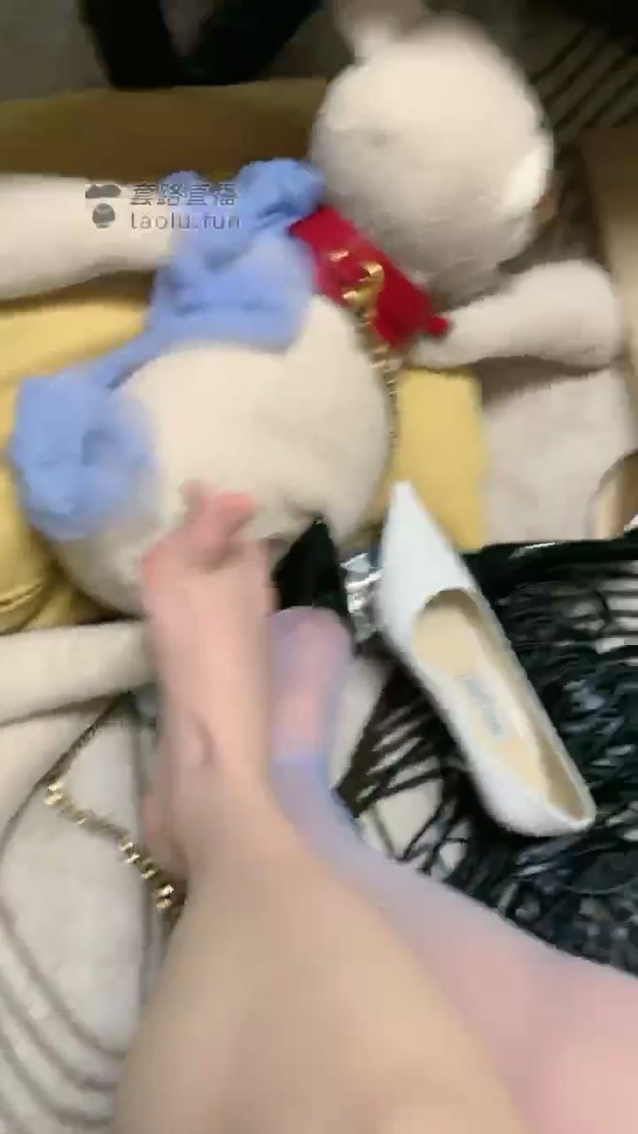 丽塔 红绿灯哦 小狗们