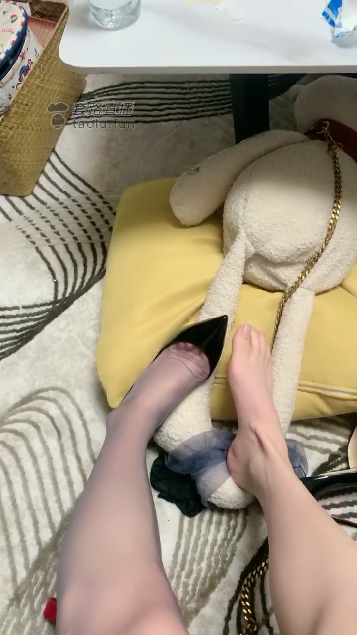 丽塔 红绿灯了 狗狗们快来吧