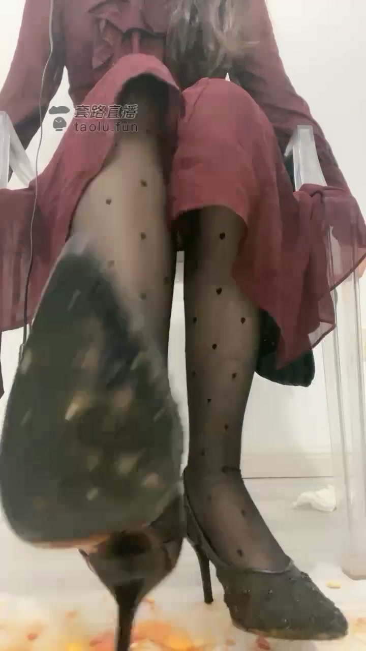 天泽大人 红绿灯 想撸先学会狗怎么吃食