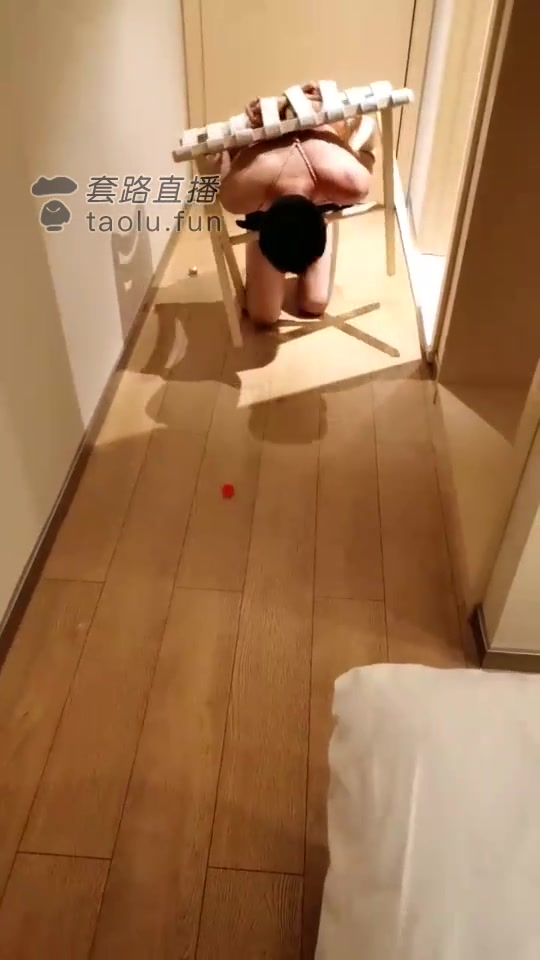 妃妃 狗该怎么疼呢