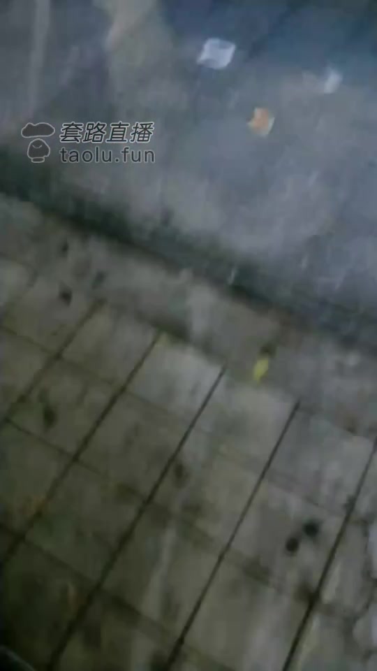 梵高d星空 给酒醉女户外下跪
