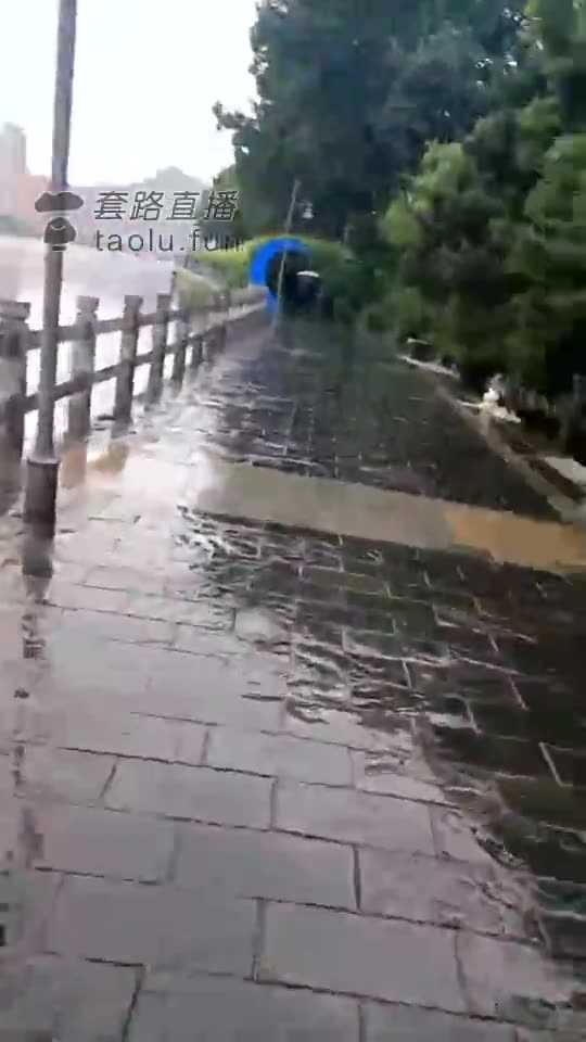 曹大成 纯素人开发耳光 学生女神
