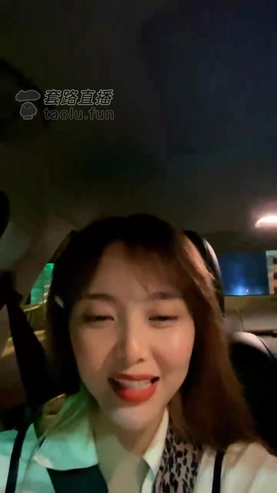 猫熙小主 机场调狗
