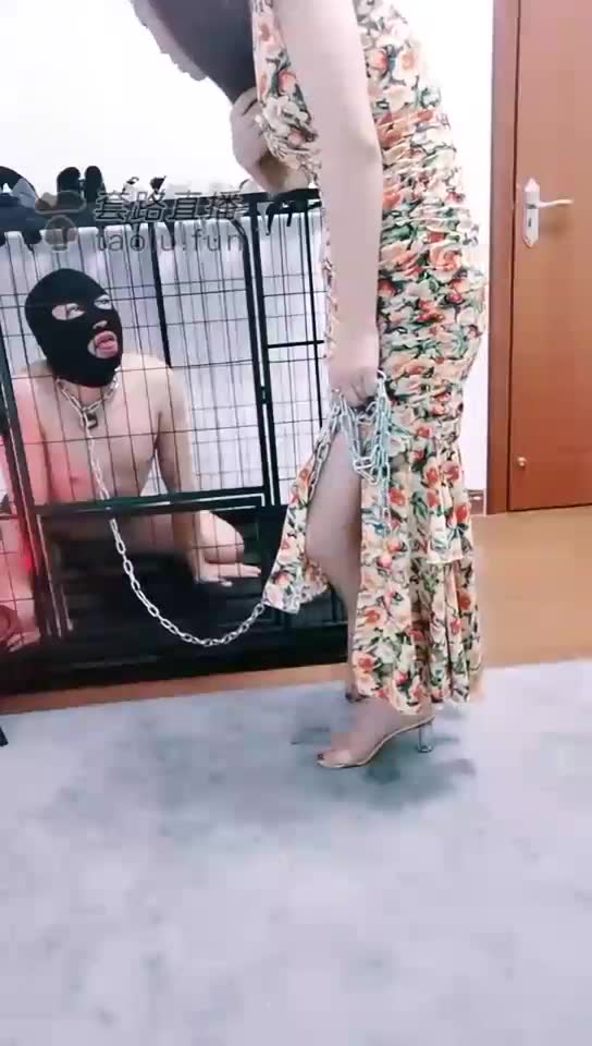 东莞玲主 调教圈养狗