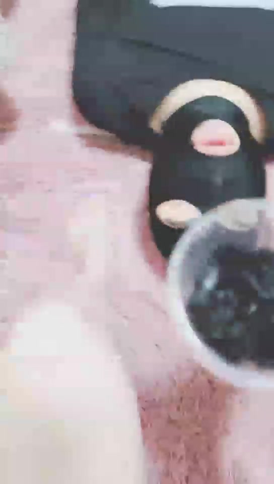 灵竹 运动鞋虐狗 喂船袜泡水