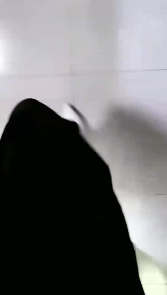 妖爷 半夜发骚的狗