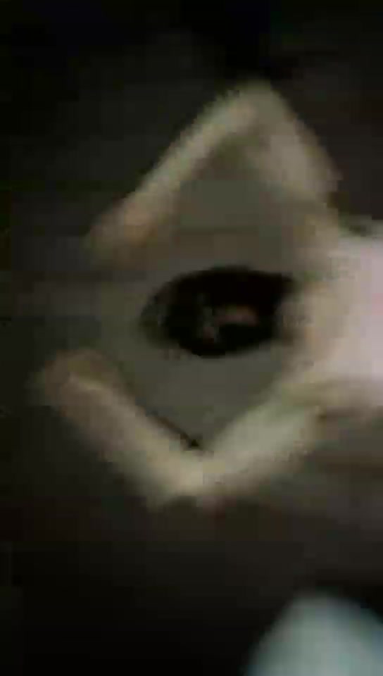 兰州平凡 户外玩CD骚狗