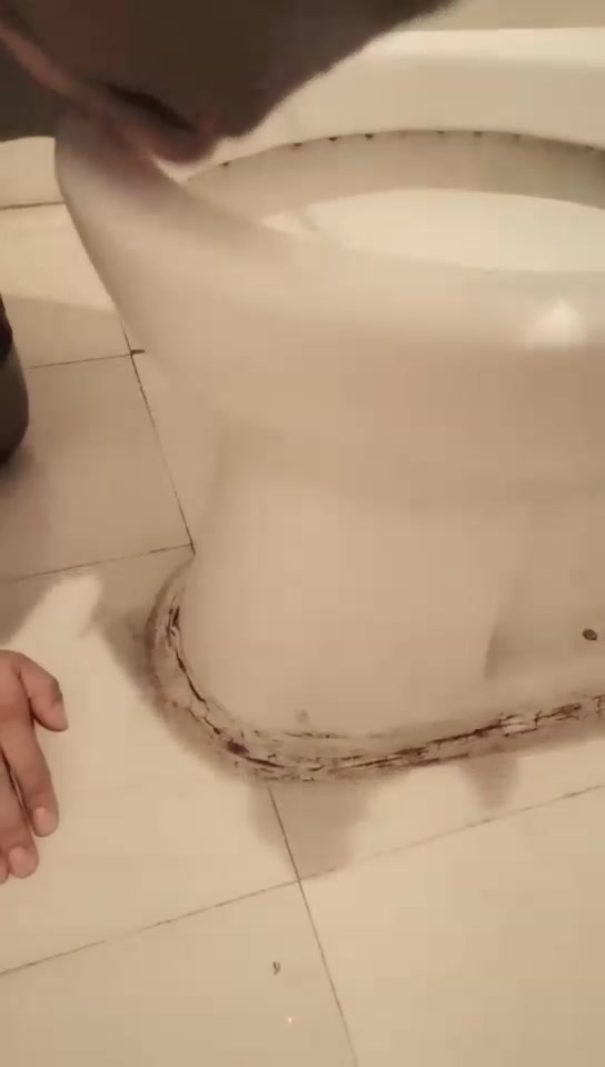丽妃 调教厕奴 舔马桶