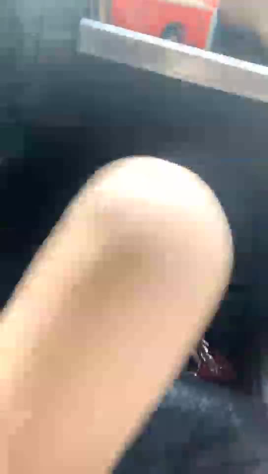 安主 诱惑专车司机狗 69分钟