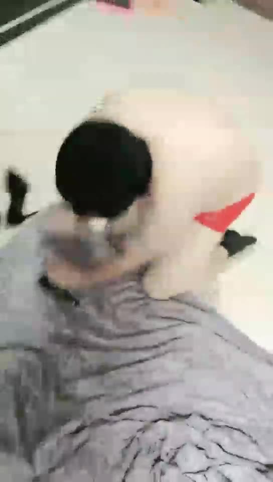 魅 后亭 羞辱 舔脚 坐脸