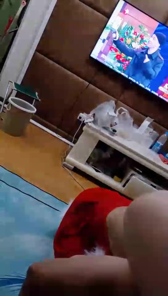 晴天 狗东西调教 口舌 像女奴一样玩弄 15分钟