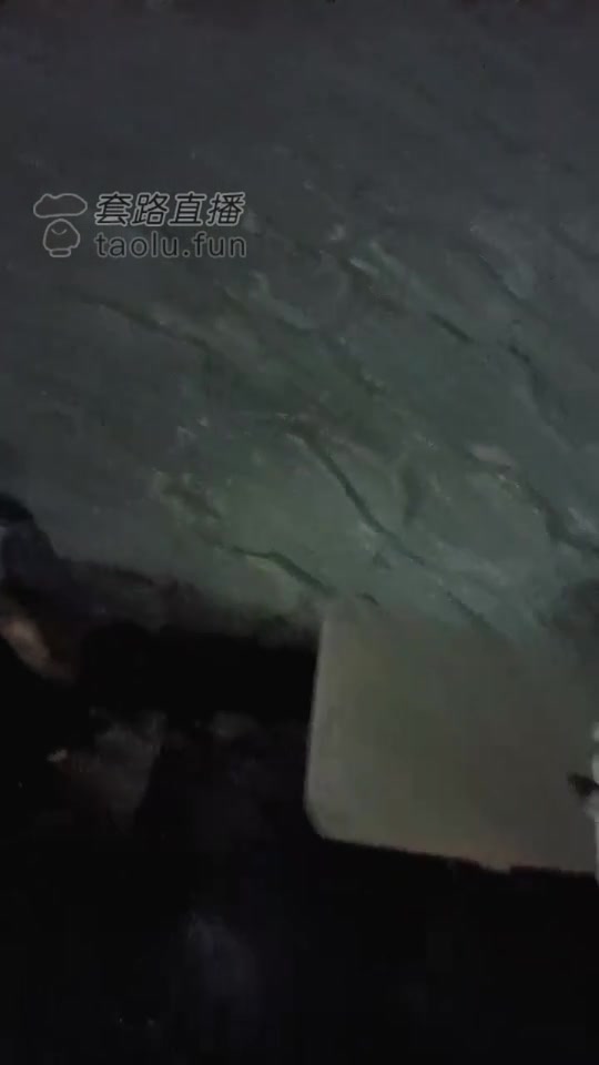 心理学 开发素人同事成功