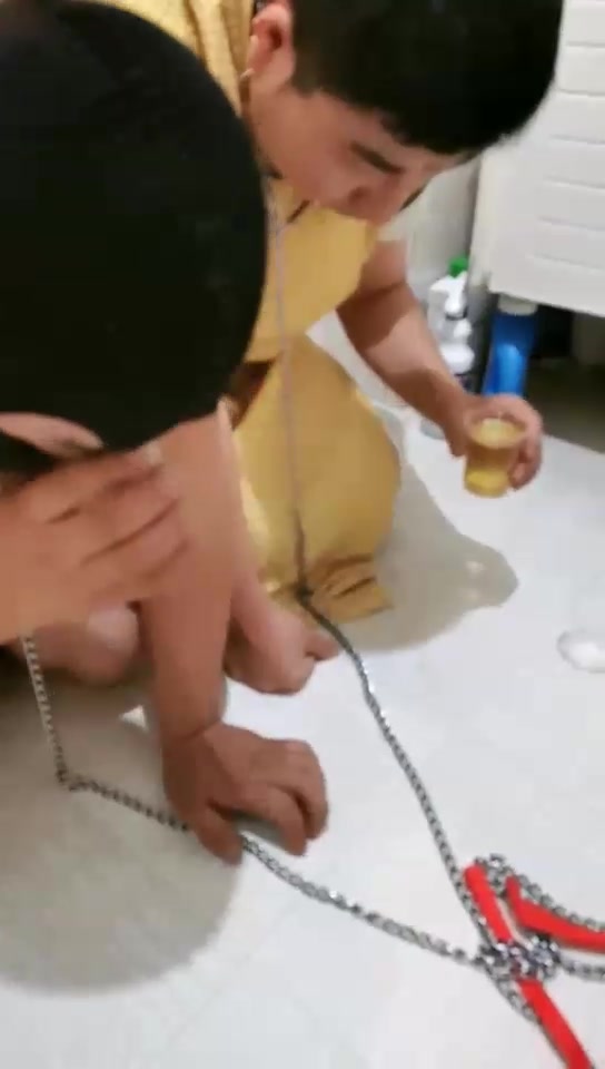 Michelle傲雪S 绿相圈养无底线差辱两条狗