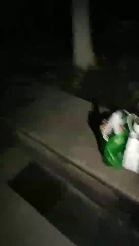 小希女王 野外遥狗