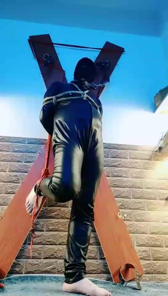 东营天香百合 束缚