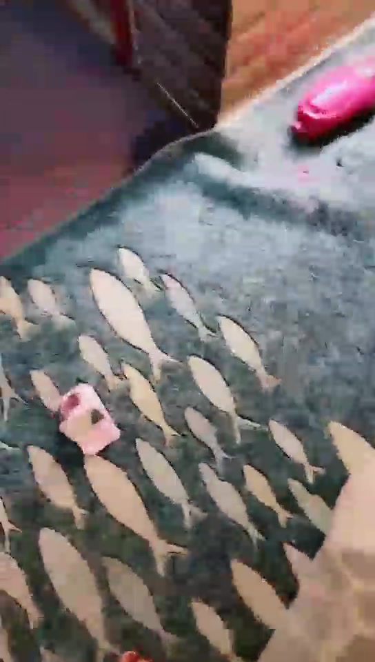 东营天香百合 丝袜 绳子捆绑