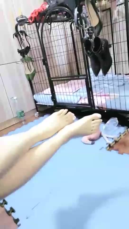 庄董大大 小黑的狗笼生活