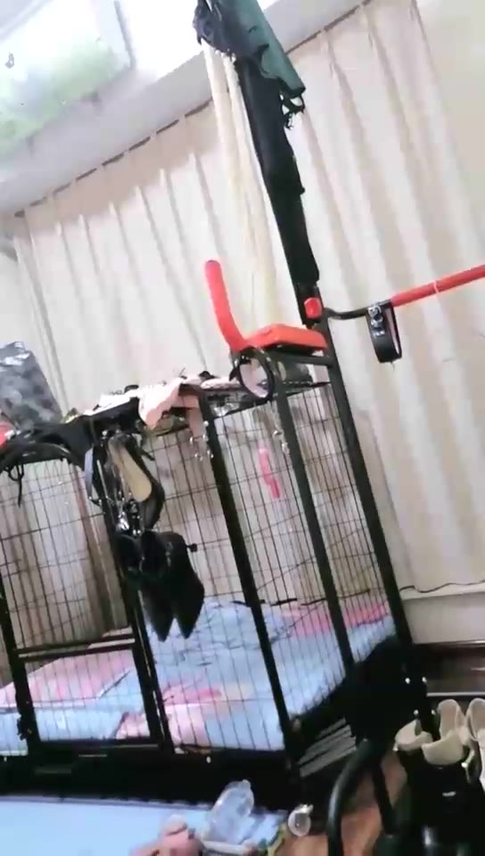 庄董大大 小黑的狗笼生活