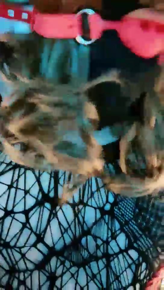 东营天香百合 骚婊子来了 CD奴