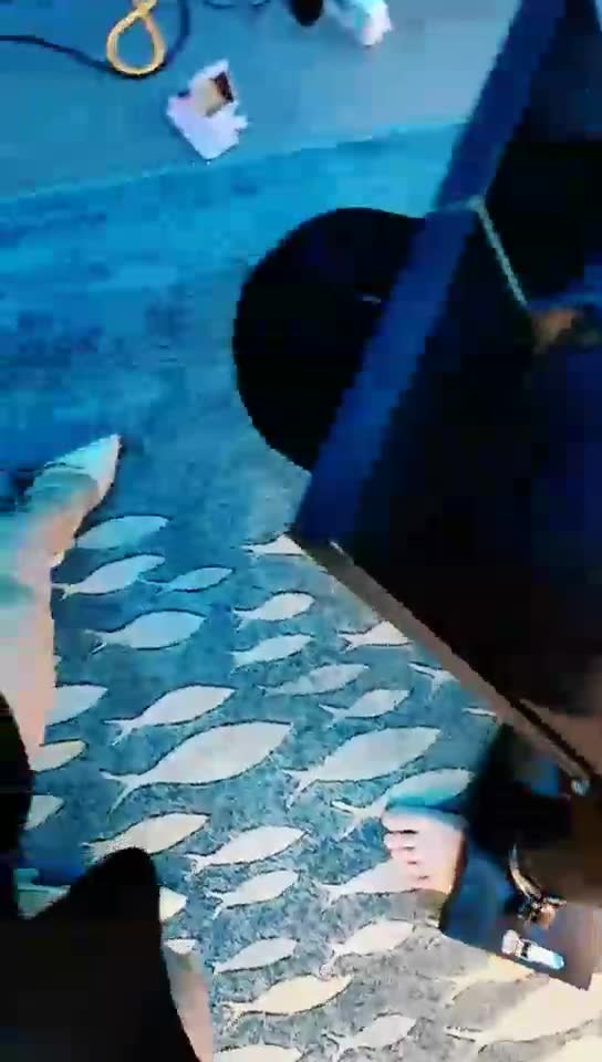 东营天香百合 押解犯人