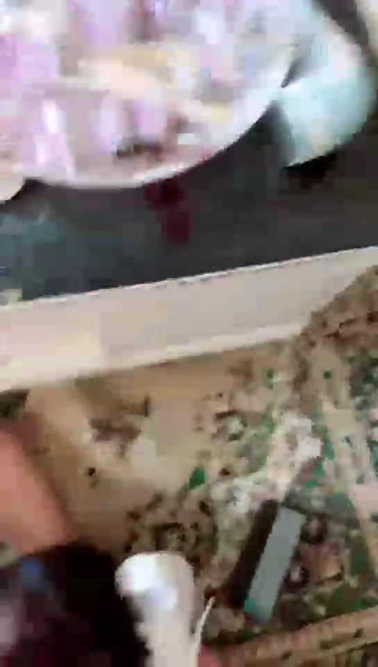 暖暖 闻鞋 踩踏 玩JJ