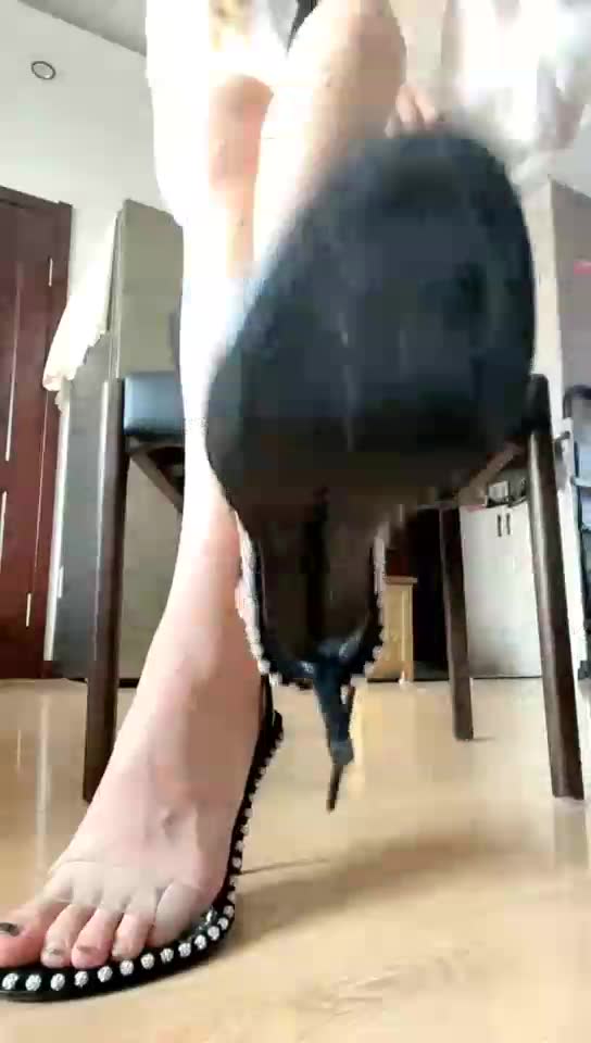 训狗师音音 第一视角 寸止课