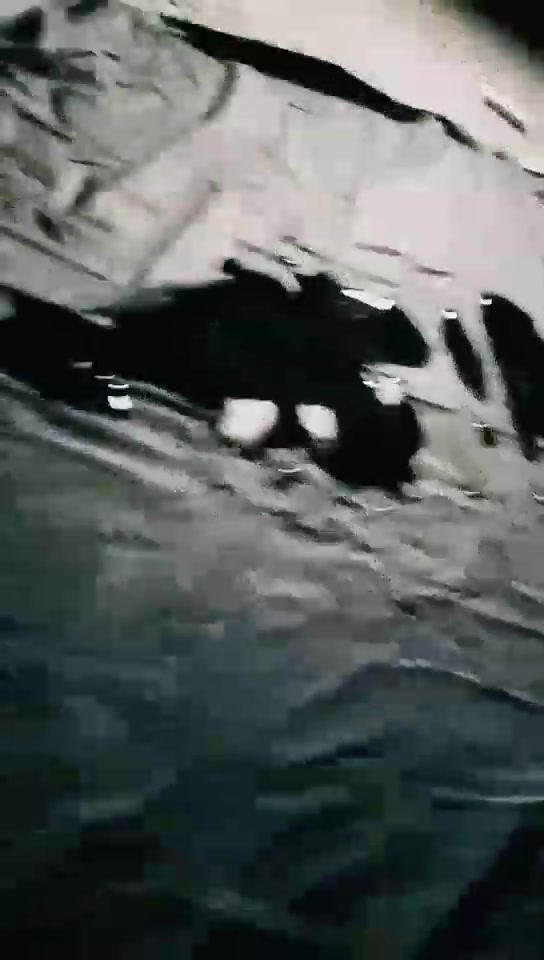 蜘蛛女王 户外调 钻胯 圣水 舔脚