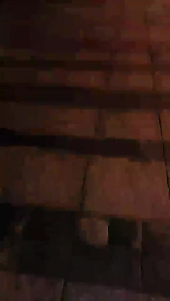 Audrey雪儿 户外溜狗 双m