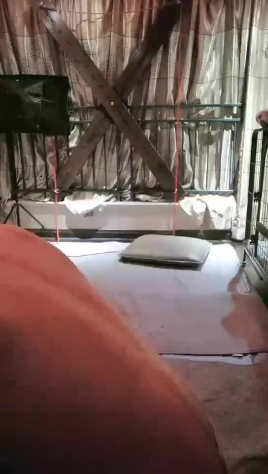 番禺银河 黑暗护士又来了