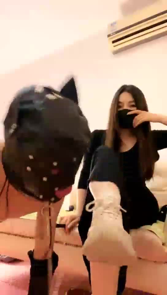 Sneak dog licking dirty shoes