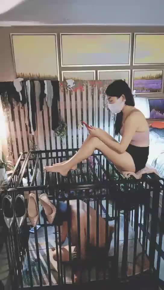 依然 狗笼子玩狗