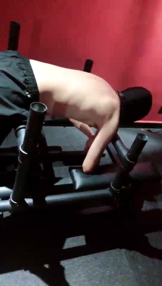 西安桃宝 虐狗鞭打SP