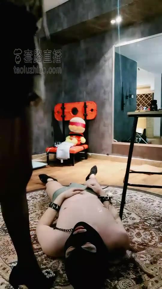 Melody小律 私奴等级测试
