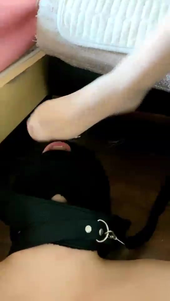 曦禾 调教口嗨狗