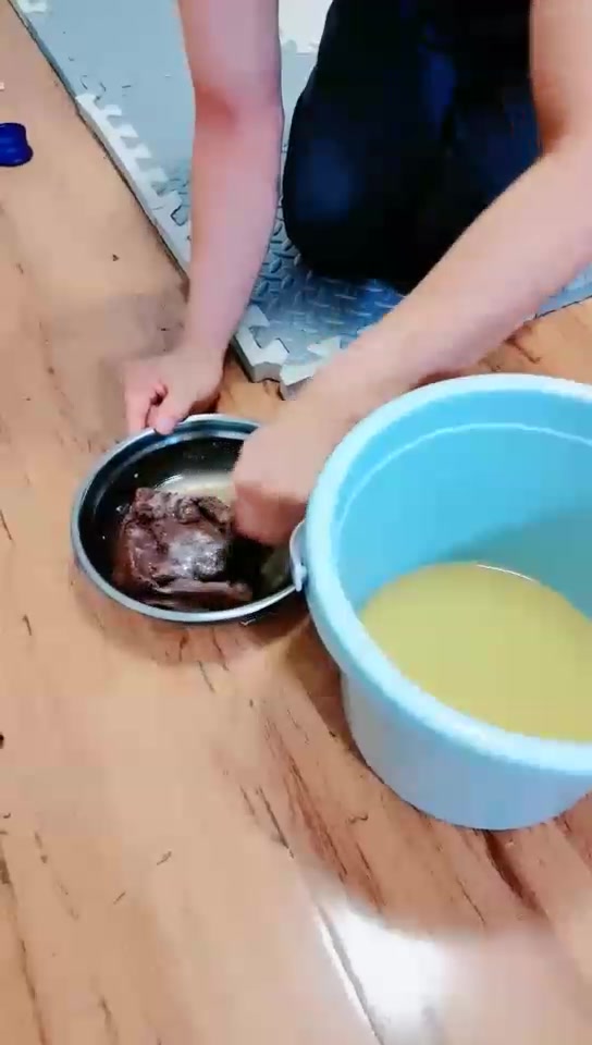 蜘蛛女王 贱货吃口水面包 喝隔夜尿加晨尿