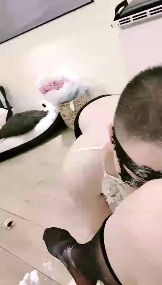 亦菲 调教外地小白
