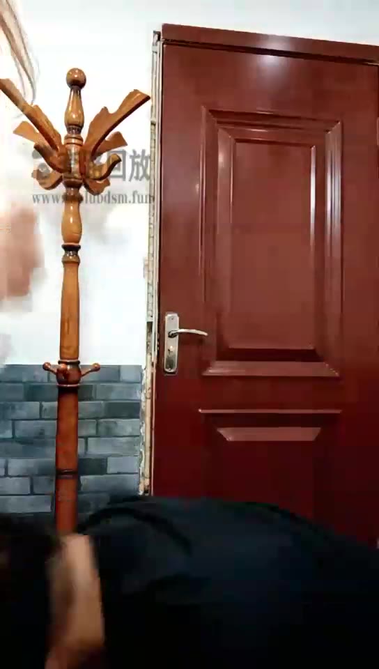 莉娜 我的朋友竟是条狗