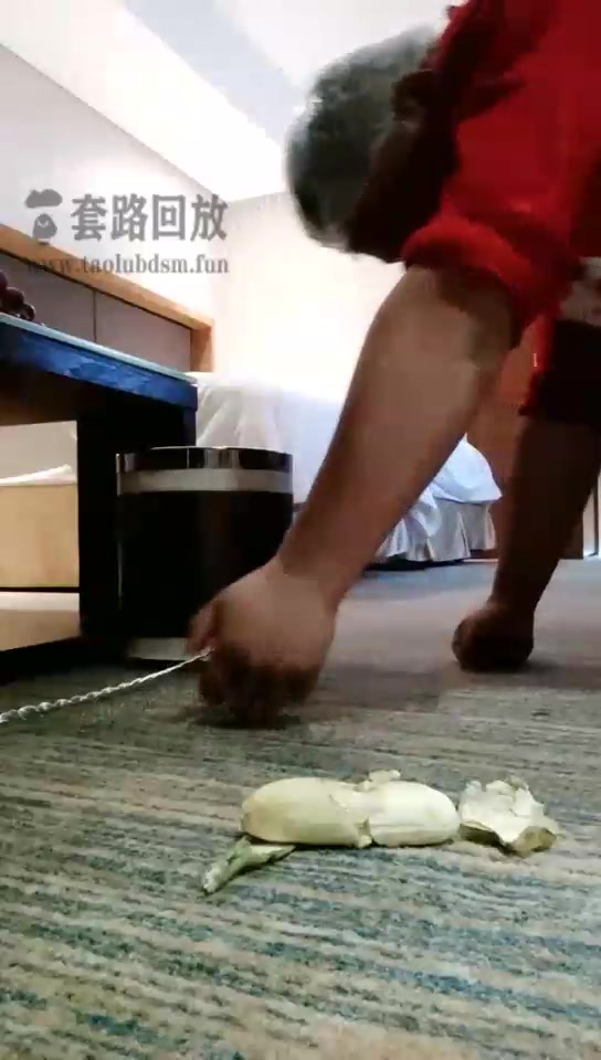 西安天使 逮到一只舔脚狗